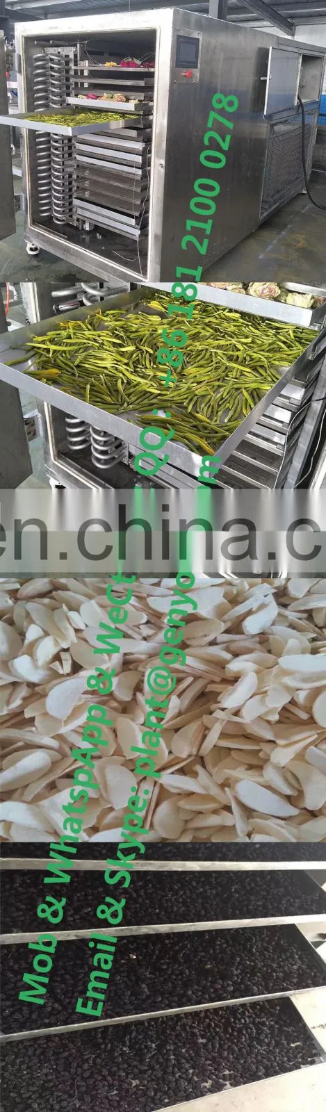 vacuum freeze dried food dragon fruit honey powder instant coffee durian strawberry raspberry flowers roses vegetable machine
