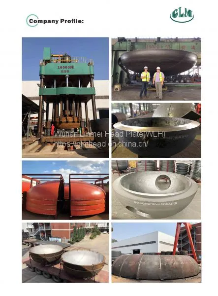 WUHAN-LINMEI-HEAD-PLATE-CO-02