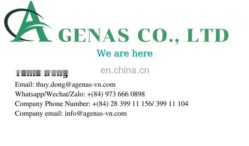 Fresh Galanga With Competitive Price Vietnam