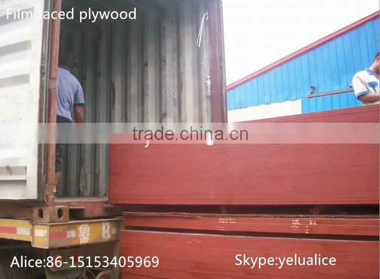 finger-joint marine plywood /film faced plywood