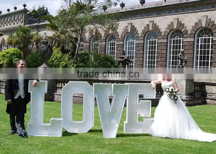 ACS White light led bulbs frontlit love 3d letters