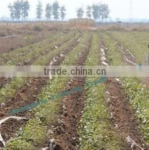 Professional mini peanut harvest machine