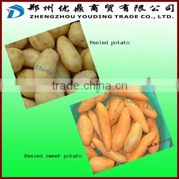 Mini potato chip machine, Small potato chips machine