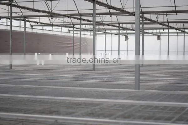 Hot Sale Single Tree Greenhouse