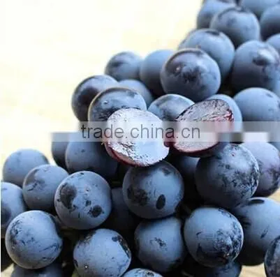 fresh grapes for sale