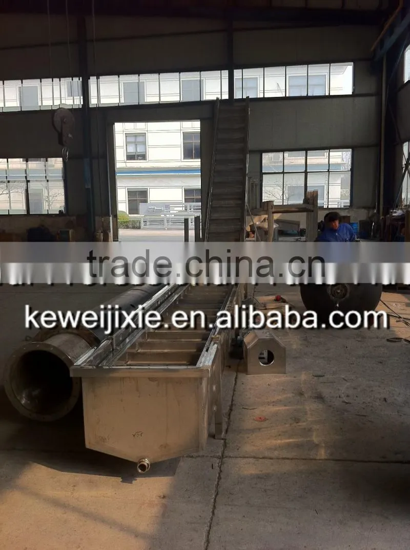 3 ton LXJ-3 Model showering (water bath) type berry fruit washer(Industrial berry fruits washer)