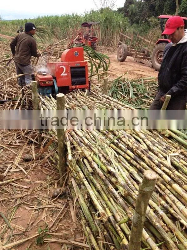 6BZ-5 sugarcane top removing machine/sugarcane leaf removing machine for sale