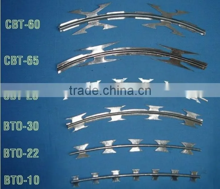 Concertina Razor Wire