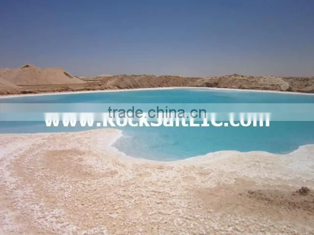 Sodium Chloride 98-99% NaCl for Winter maintenance in Bulk - white color with no impurity - SGS analysis