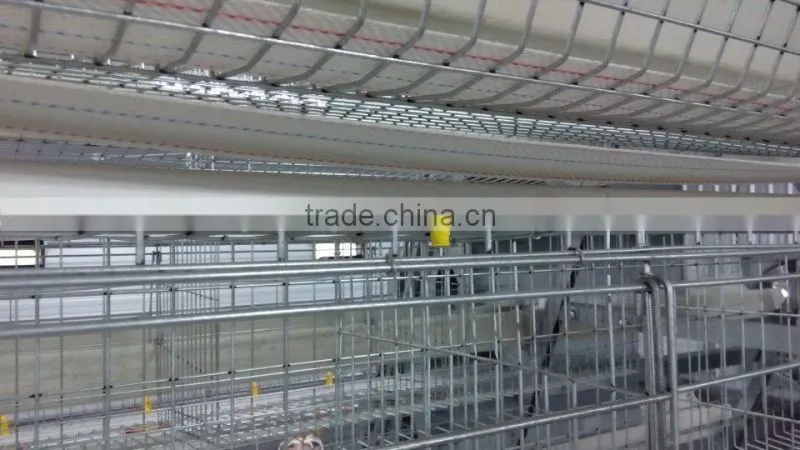 chicken layer cage
