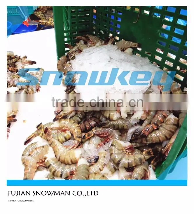 2016 Year newest design 1 ton per day flake ice machine with air cooling condenser