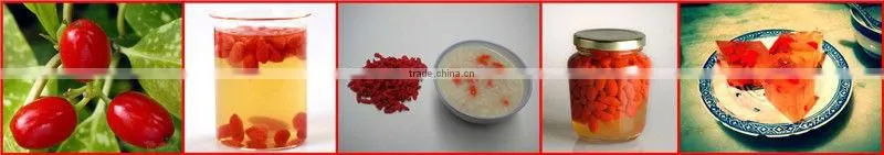 Dried fruit goji berries/goji/Medlar/organic goji berries