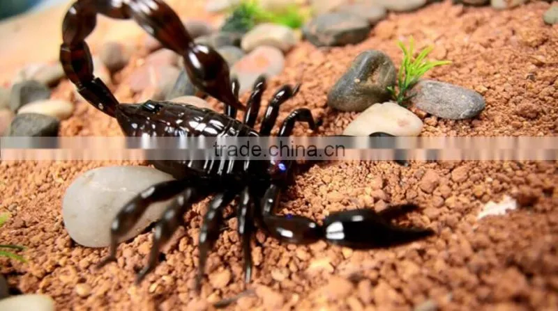 IR Mini Giant scorpion Toys For Kids