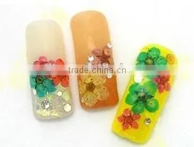 H1-034 12COLORS Dried Flowers for Nail Art Embeddi(12Colours ) 1.These dried DRY FLOWER ,Real dry flower