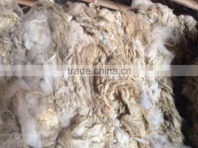 100% greasy Russian sheep wool, 28-38mic, 80-95mm, natural white color