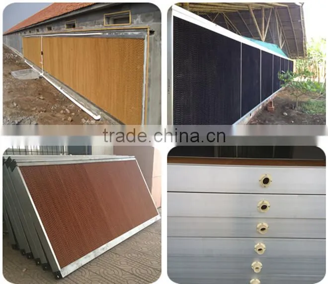 Whole Broiler Chicken Farm Poultry Equipment for Sale