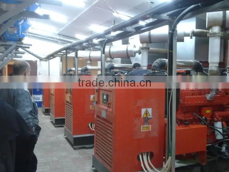 Incredible low price biogas generator set from manufacturer with CE certificate