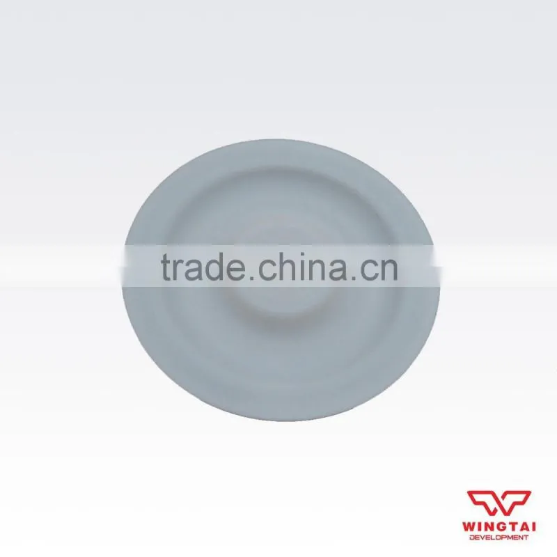 Single Way Pneumatic Diaphragm Pump Accessories PTFE Diaphragm