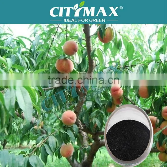 Leonardite Humic Acid Organic