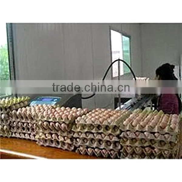 Best selling inkjet coding machine/Egg Print Machine/Egg Stamping Machine