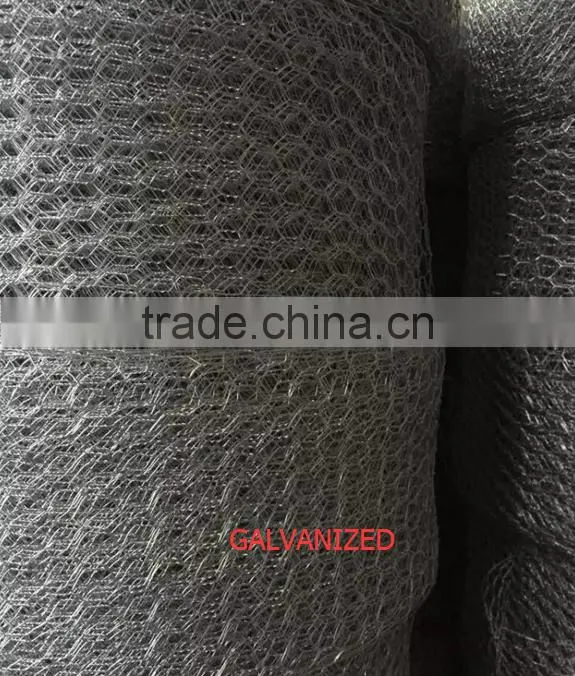 Hexagonal Mesh/Hexagonal Wire Mesh