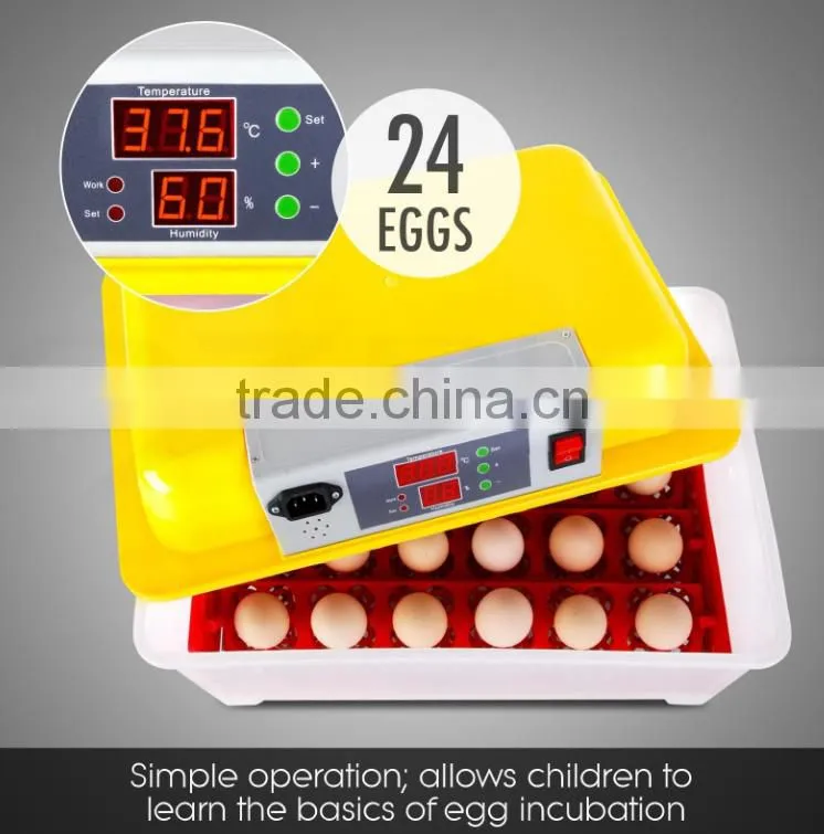 best selling products mini automatic egg incubator/poultry egg incubator chicken/automatic egg incubator(24eggs)