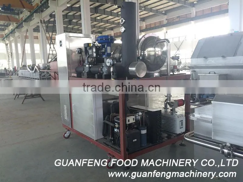 Quality Warranted Food Processing Machinery Fruit Lab Vacuum Freeze Dryer