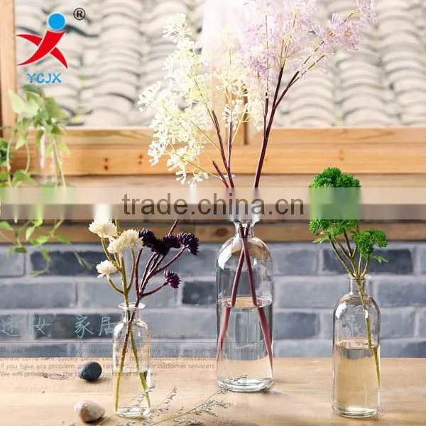 Receive a bottle/transparent flower flower / modern decorative glass vase /flower vase