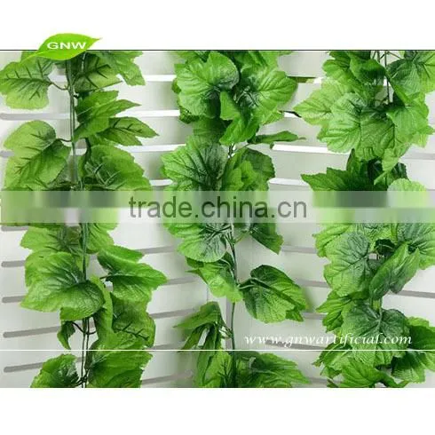 GNW FLV09 indian rose flower use for balloon flower root extract or other occasion