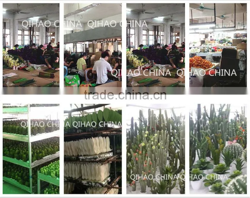Natural Plastic Dragon Fruit Plant Decorative Fruit Plant for Decoration