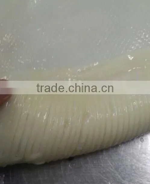 Frozen Skiness Giant Squid Fillet