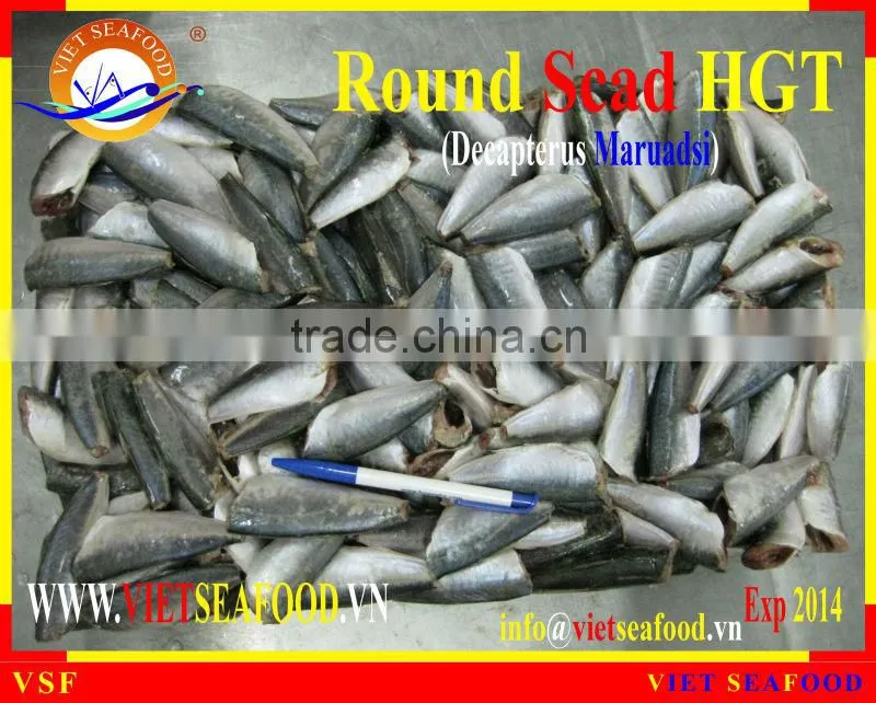 FROZEN HGT ROUND SCAD