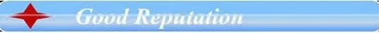 2013 crochet flower embroidery patch for garment WPH-011