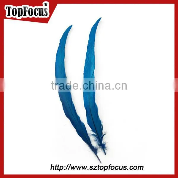 dyed color big long natural grizzly rooster feathers for sale