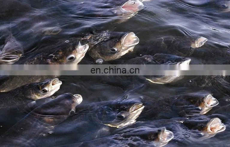Competitive price Paddlewheel aerators are widely used in fish shrimp farmers