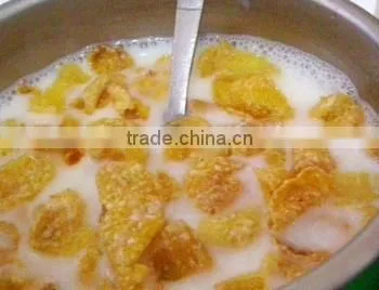 Cornflakes machinery