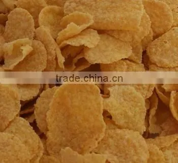 jinan delon corn flakes production lion