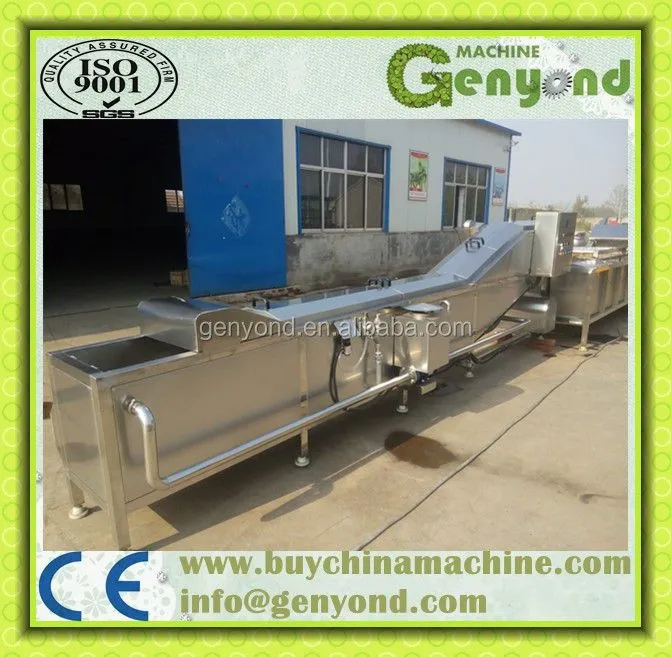 Washing, Cutting, Blanching Machine for Fruit and Vegetable Processing Line