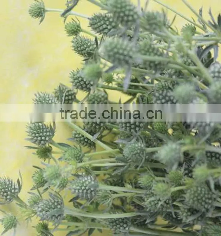 Decorative new products preserved cherry tomato whole