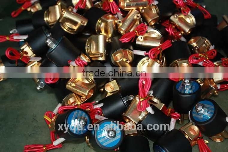 High Pressure Direct Action 2W Series Solenoid Valve(2/2 Way)DC24V