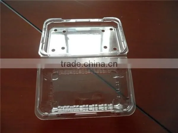 Plastic seasonal fruit packaging boxes of different specification