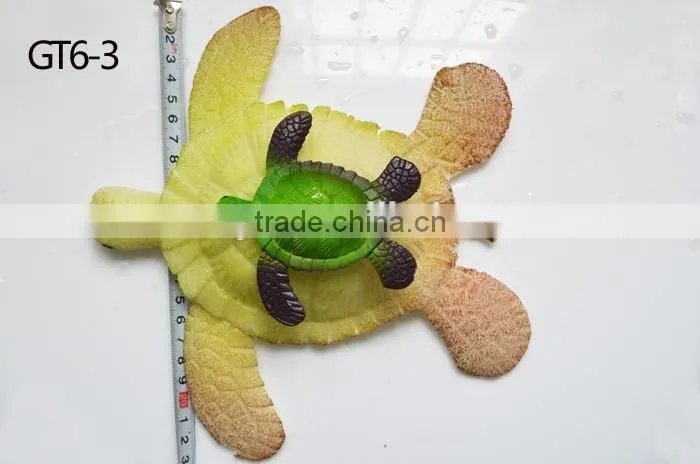 Factory Supplier Colored EVA Growing Animals Inflation Tortoise Toys