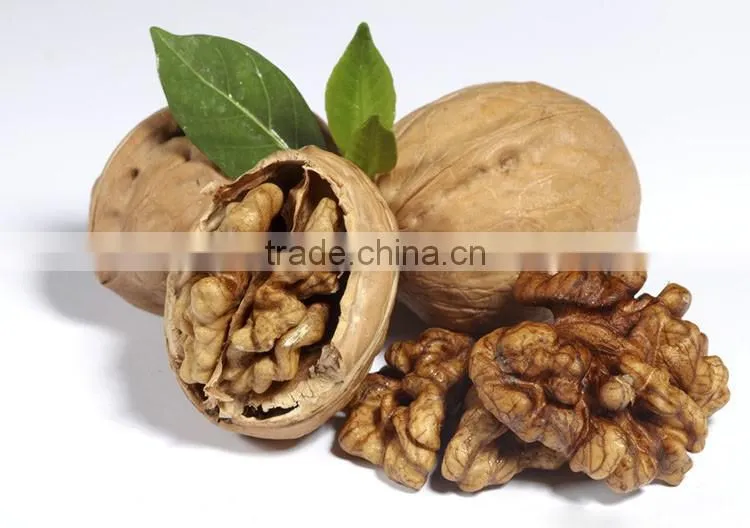 Extra chinese walnuts,walnut meat, walnuts kernel