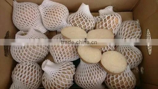 vietnam fresh taro with best price and good quality