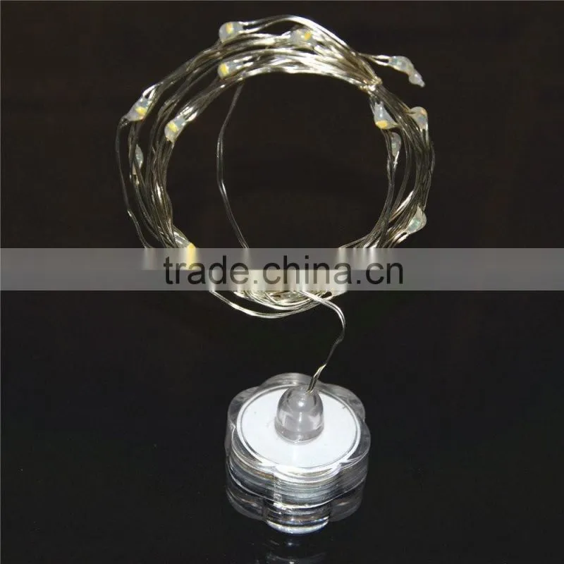Blue color LED Submersible copper wire Micro Vine light / Battery Operated LED String Light