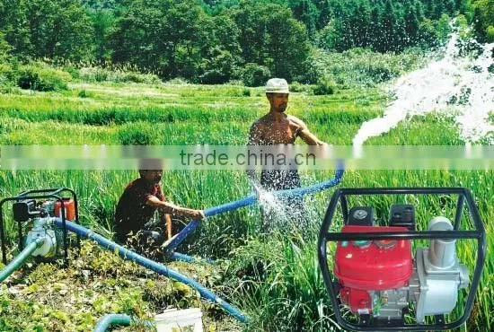 Agriculture Kerosene Petrol Water Pump Price