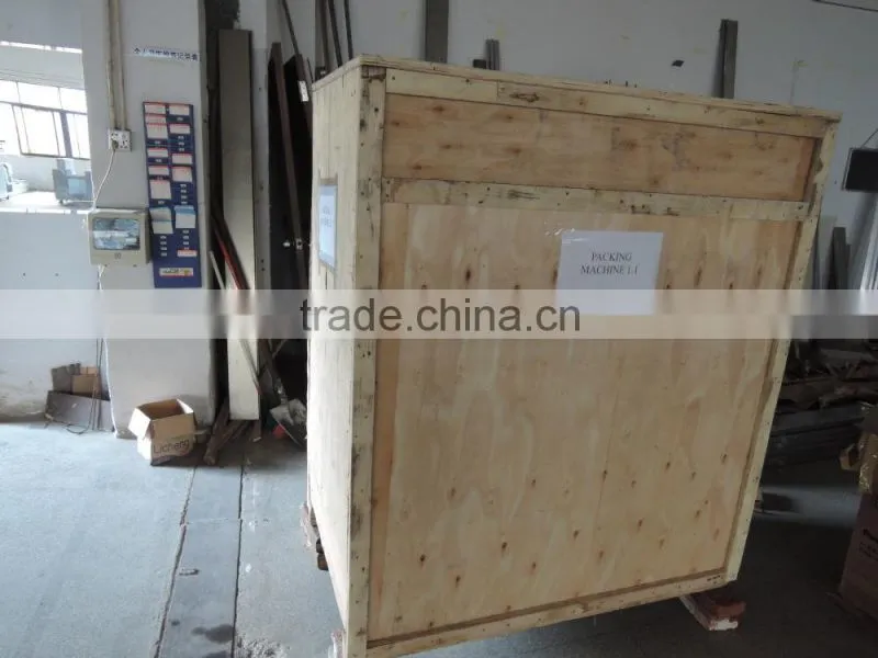 Reciprocating pillow packing machine for toast,sliced bread ( DCTWB-450W)