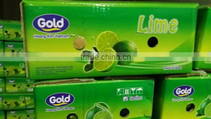 Fresh Lime / Lemon Vietnam