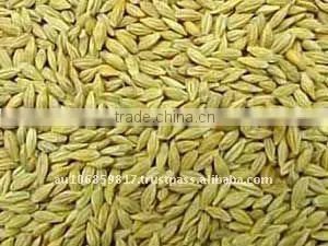 Australian organic barley bran