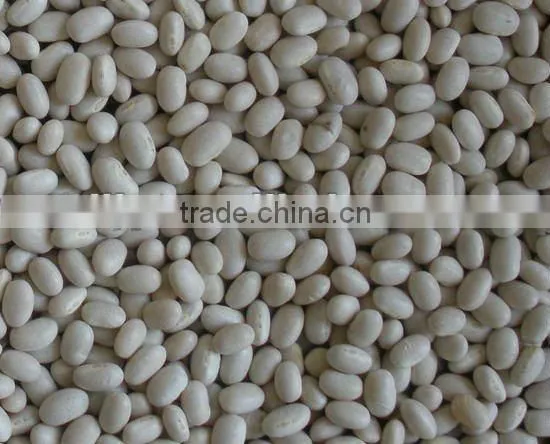 Japanese Style white Kidney Bean